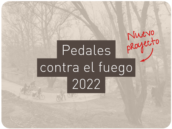 proyecto-pedales-2022-1
