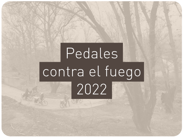 proyecto-pedales-2022-3