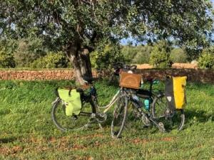 Dos bicicletas de Biela y Tierra bajo un árbol junto a un muro de piedra