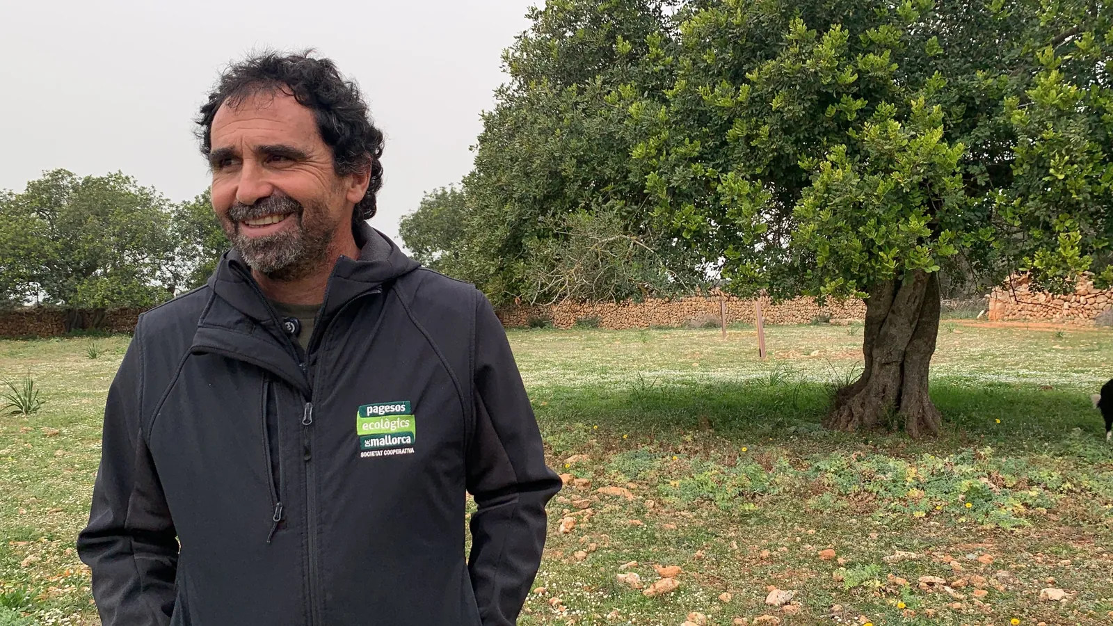 Productor de Pagesos Ecològics de Mallorca en su finca