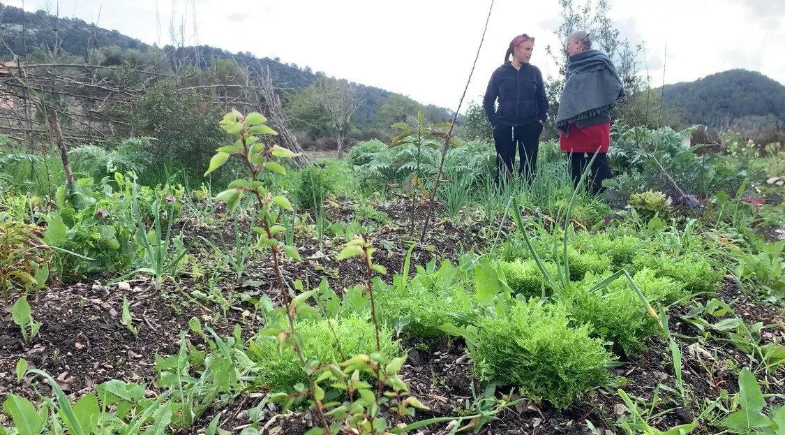 Huerta de permacultura con dos personas al fondo