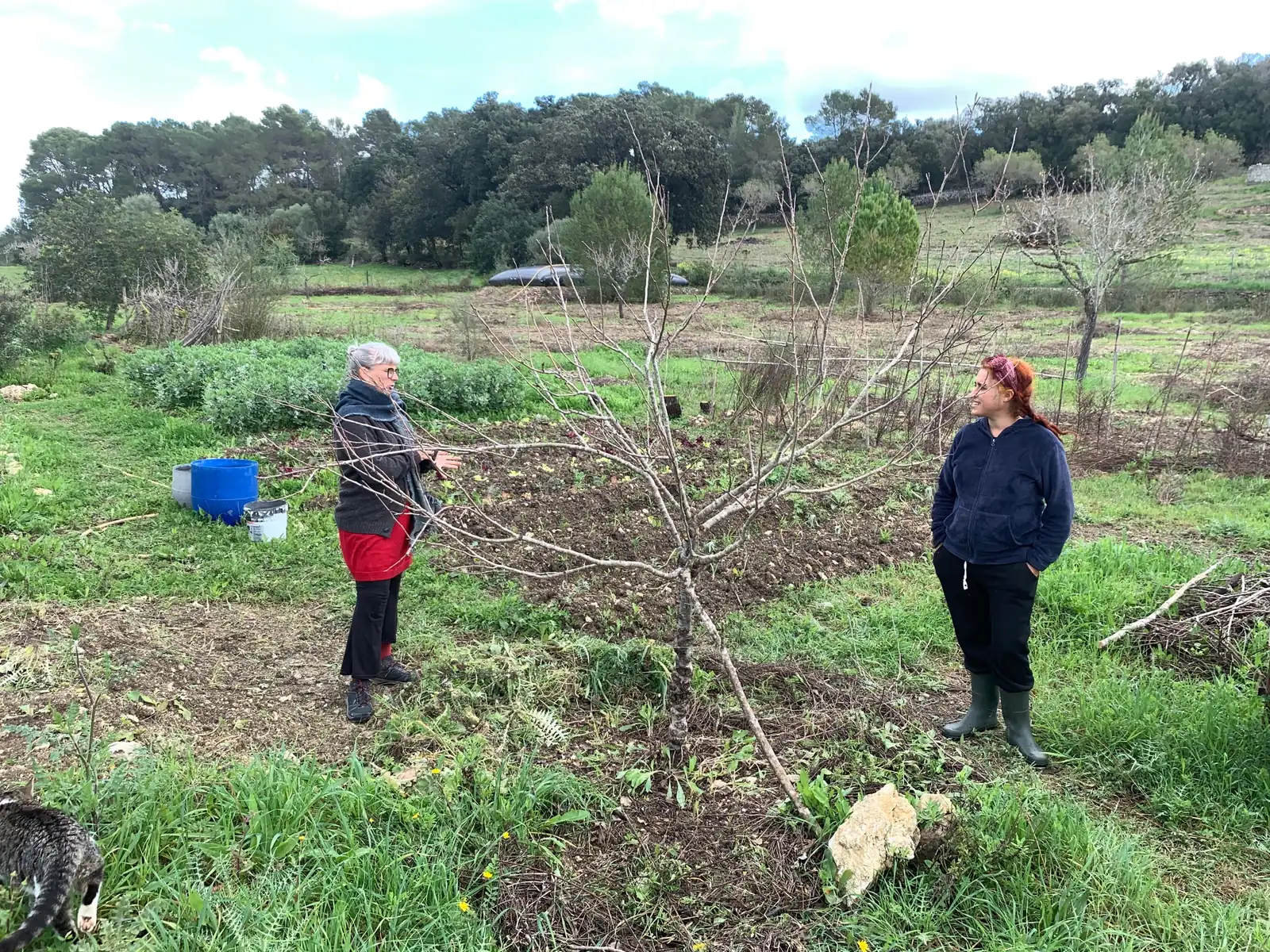 Dos mujeres conversando junto a un árbol en la huerta
