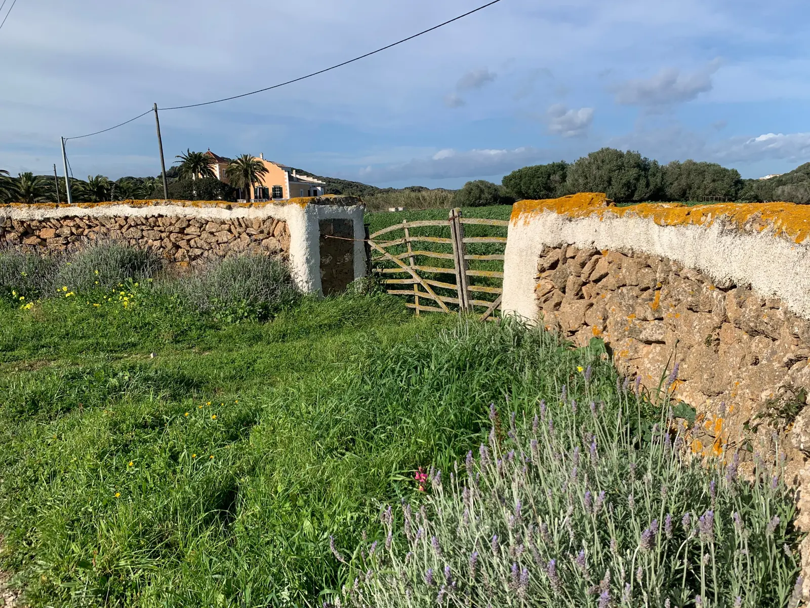 Entrada de una finca entre muros de piedra encalados y lavanda